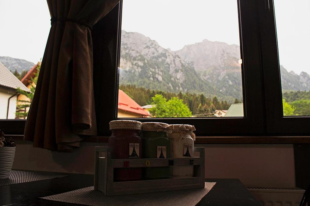 Apartament Mountain Life Busteni Exterior photo