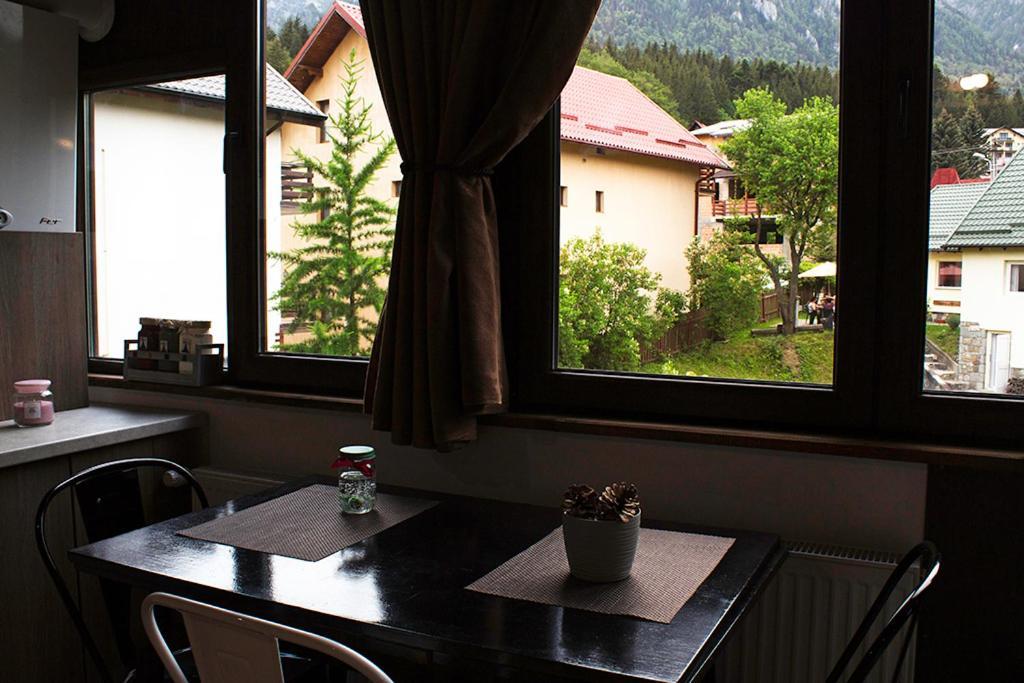 Apartament Mountain Life Busteni Exterior photo