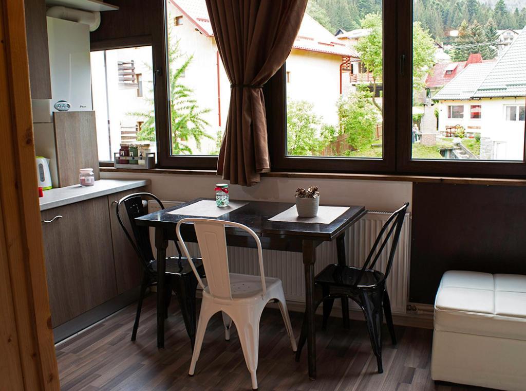 Apartament Mountain Life Busteni Exterior photo